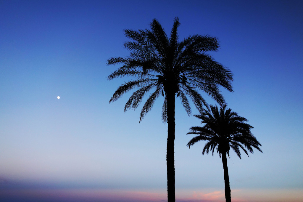 alicante-ksiezyc-i-palmy